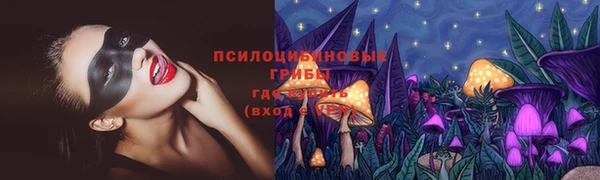 скорость Алексин